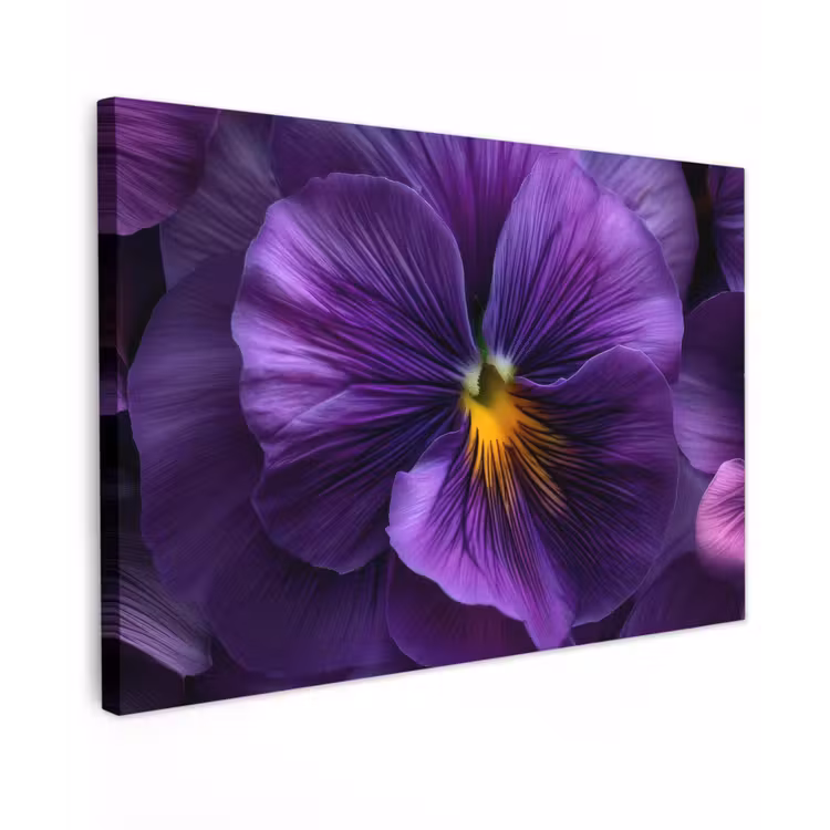 Paars - Viool - Diepte canvas 2cm klein -z3d