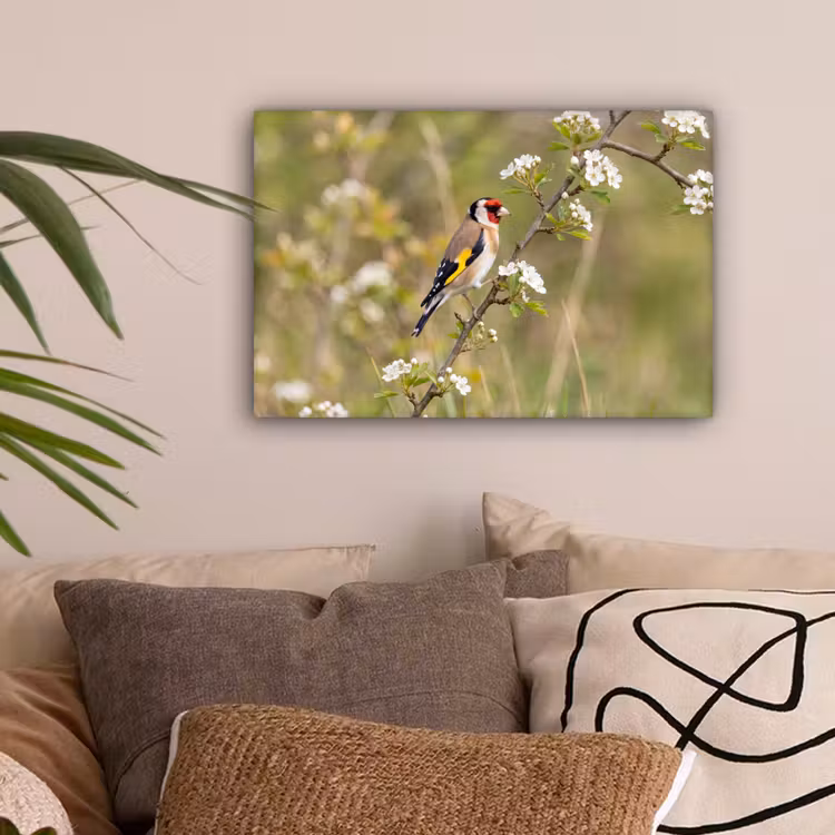 Putter - Bloesem - Lente - Natuur - Kleurrijk canvas 2cm klein -sfeer1