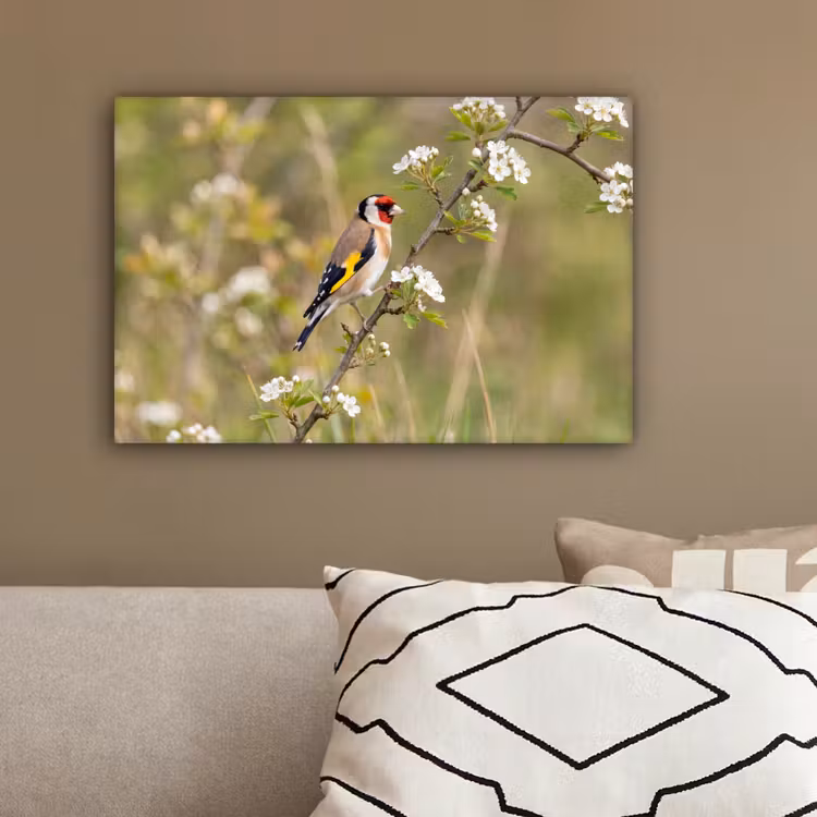 Putter - Bloesem - Lente - Natuur - Kleurrijk canvas 2cm klein -sfeer3
