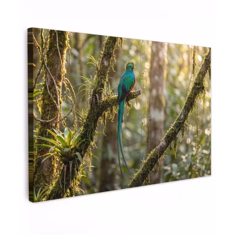 Quetzal - Jungle - Natuur - Groen canvas 2cm klein -z3d
