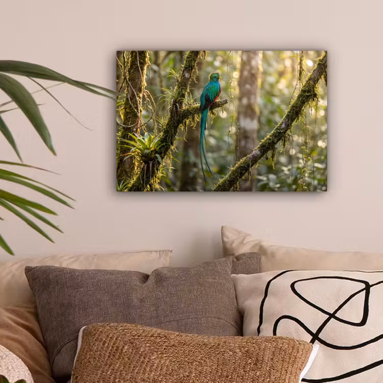 Quetzal - Jungle - Natuur - Groen canvas 2cm klein -sfeer1