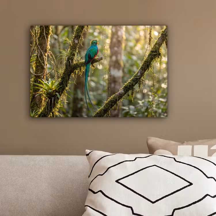 Quetzal - Jungle - Natuur - Groen canvas 2cm klein -sfeer3