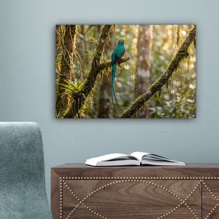 Quetzal - Jungle - Natuur - Groen canvas 2cm klein -sfeer4