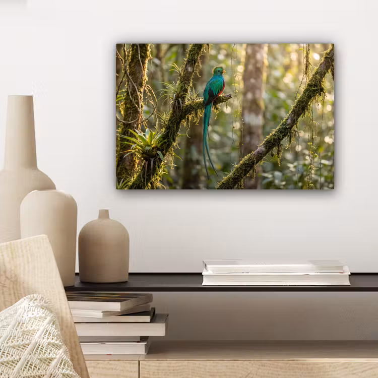 Quetzal - Jungle - Natuur - Groen canvas 2cm klein -sfeer6
