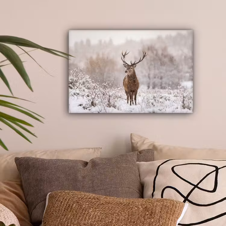 Edelhert - Bos - Sneeuw - Winter - Majestueus canvas 2cm klein -sfeer1