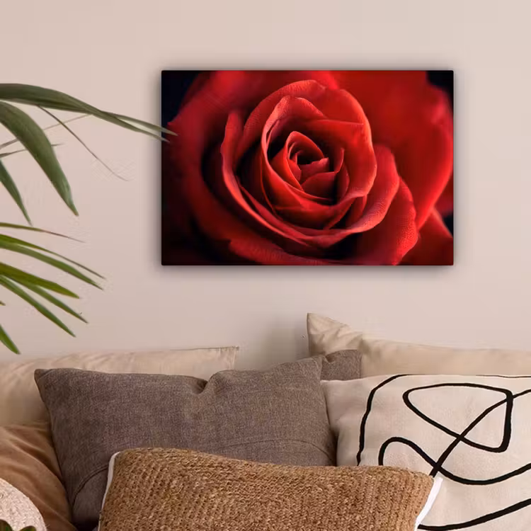 Rood - Roos - Romantisch canvas 2cm klein -sfeer1