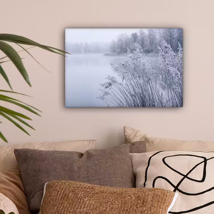 Riet - Bevroren - Winter - Natuur canvas 2cm klein -sfeer1