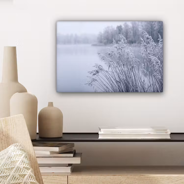 Riet - Bevroren - Winter - Natuur canvas 2cm klein -sfeer6