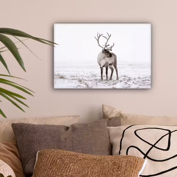 Rendier - Gewei - Sneeuw - Winter canvas 2cm klein -sfeer1