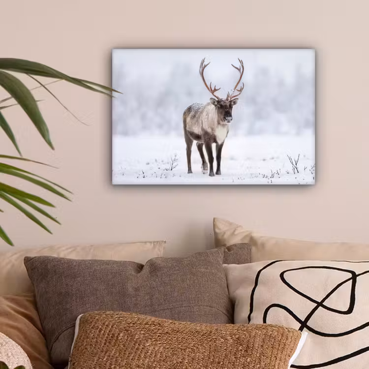Rendier - Gewei - Toendra - Sneeuw - Wild canvas 2cm klein -sfeer1