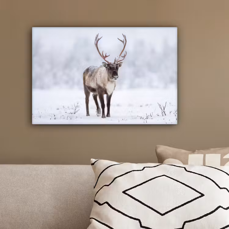 Rendier - Gewei - Toendra - Sneeuw - Wild canvas 2cm klein -sfeer3