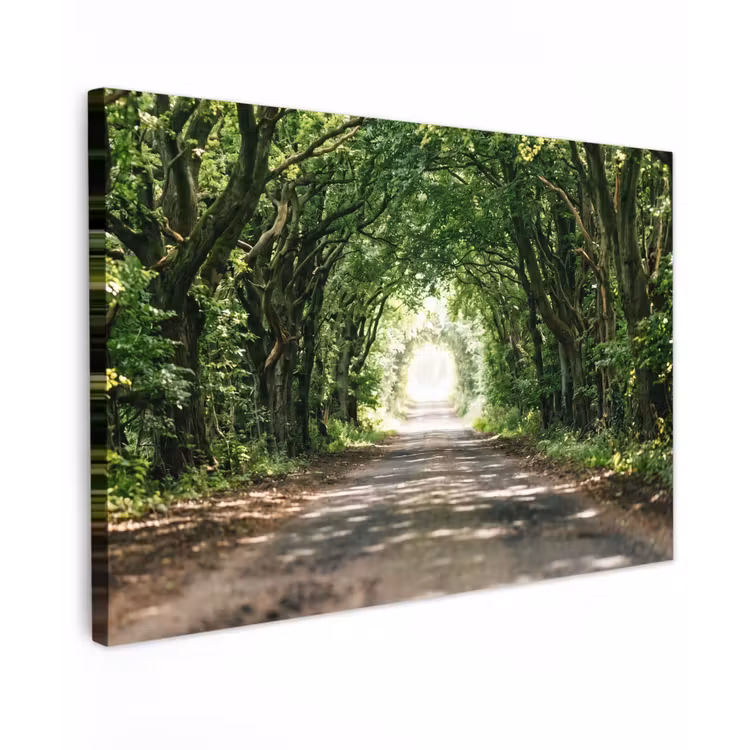 Weg - Bomen - Natuur - Groen canvas 2cm klein -z3d