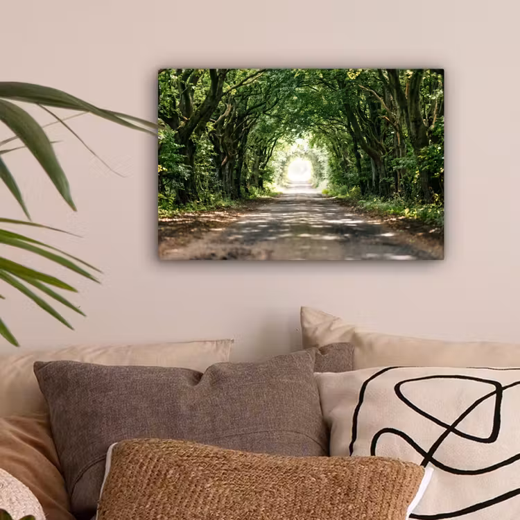 Weg - Bomen - Natuur - Groen canvas 2cm klein -sfeer1