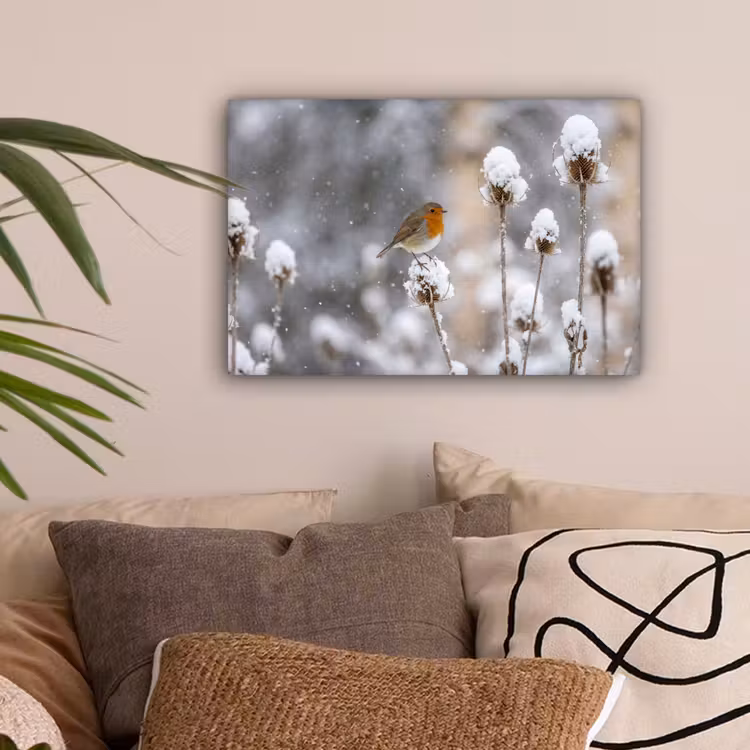 Roodborstje - Gedroogde bloem - Sneeuw - Winter - Vertederend canvas 2cm klein -sfeer1