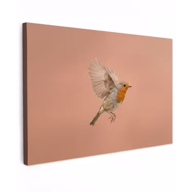 Roodborst - Natuur - Roze canvas 2cm klein -z3d