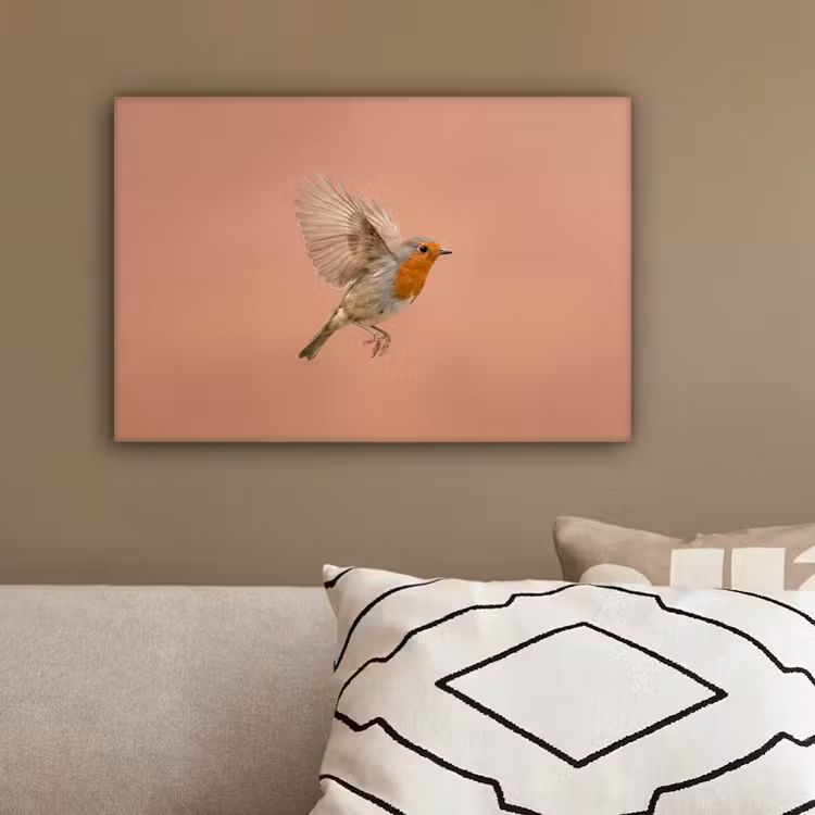 Roodborst - Natuur - Roze canvas 2cm klein -sfeer3