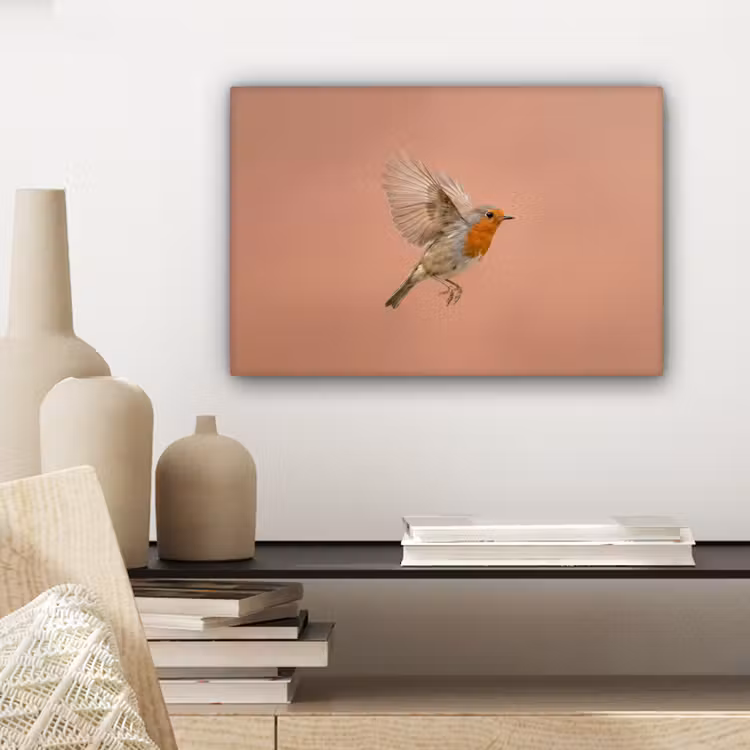 Roodborst - Natuur - Roze canvas 2cm klein -sfeer6