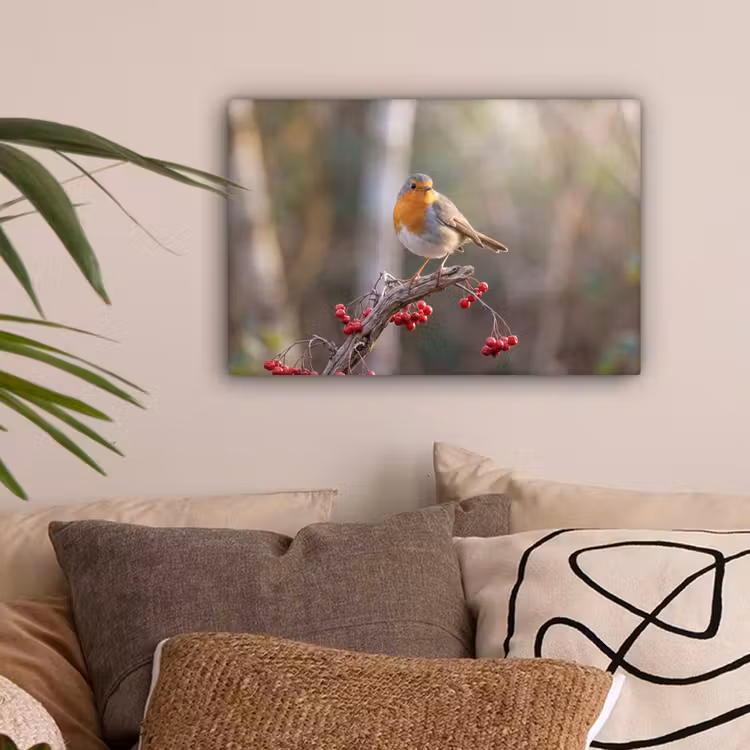 Roodborst - Tak - Bessen - Natuur canvas 2cm klein -sfeer1