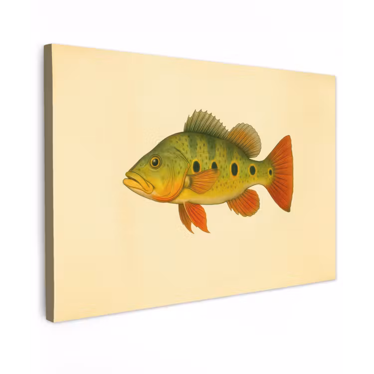 Schubben - Vis - Groen - Illustratie canvas 2cm klein -z3d
