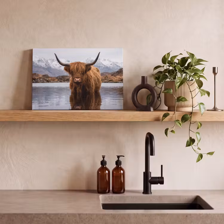 Schotse hooglander - Bruin - Water canvas 2cm klein -sfeer3