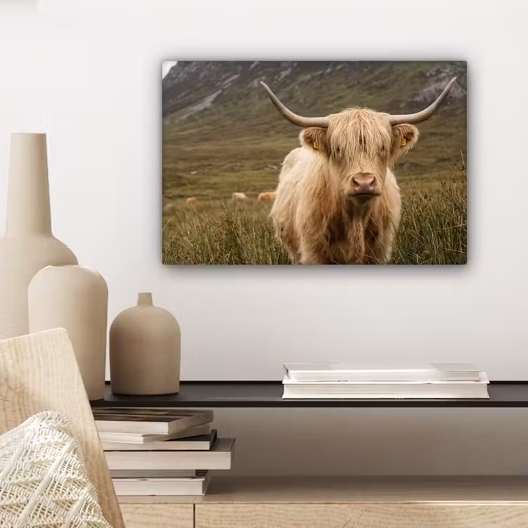 Schotse hooglander - Bergen - Grasveld canvas 2cm klein -sfeer6