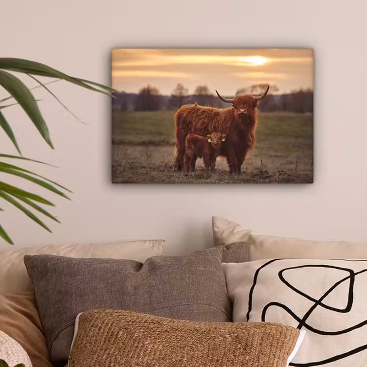 Schotse hooglander - Dieren - Landschap - Zonsondergang - Koe canvas 2cm klein -sfeer1