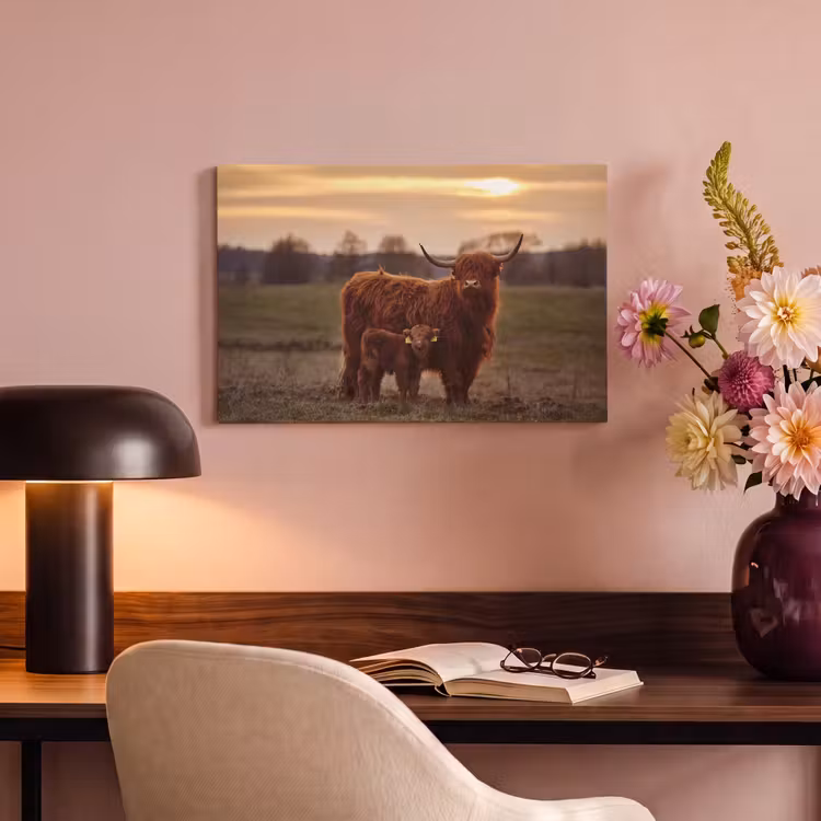 Schotse hooglander - Dieren - Landschap - Zonsondergang - Koe canvas 2cm klein -sfeer4