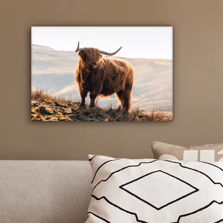 Schotse hooglander - Dieren - Landelijk - Landschap - Koe - Natuur canvas 2cm klein -sfeer3