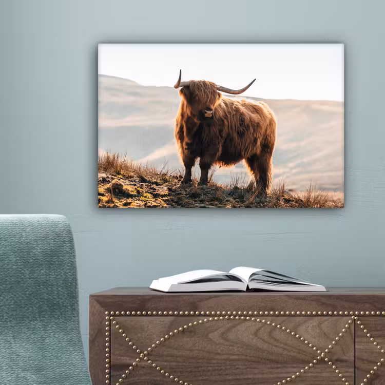 Schotse hooglander - Dieren - Landelijk - Landschap - Koe - Natuur canvas 2cm klein -sfeer4