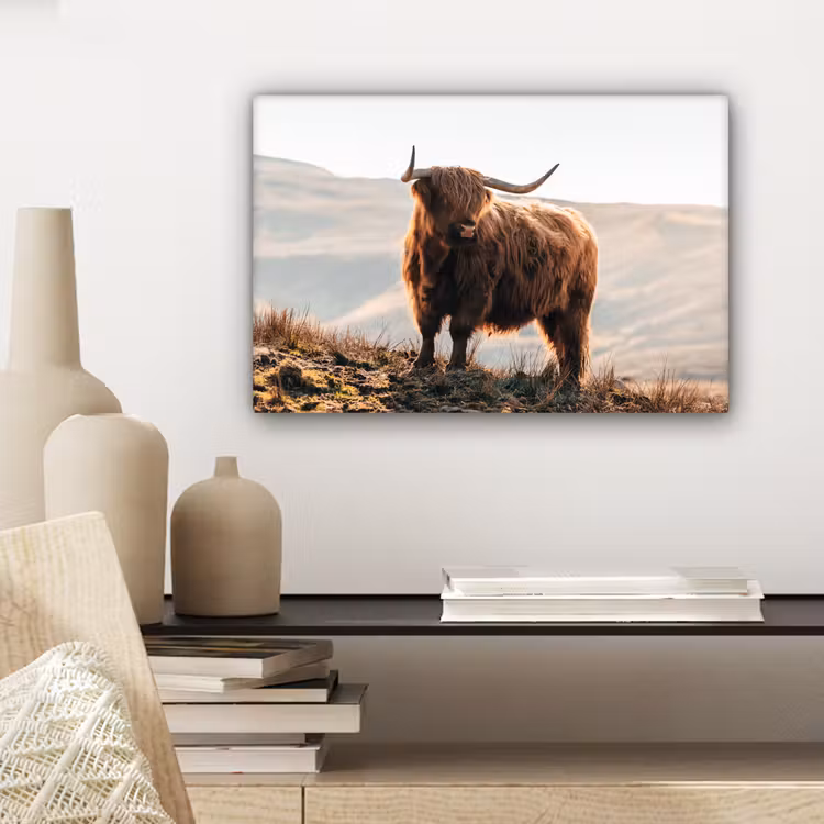 Schotse hooglander - Dieren - Landelijk - Landschap - Koe - Natuur canvas 2cm klein -sfeer6