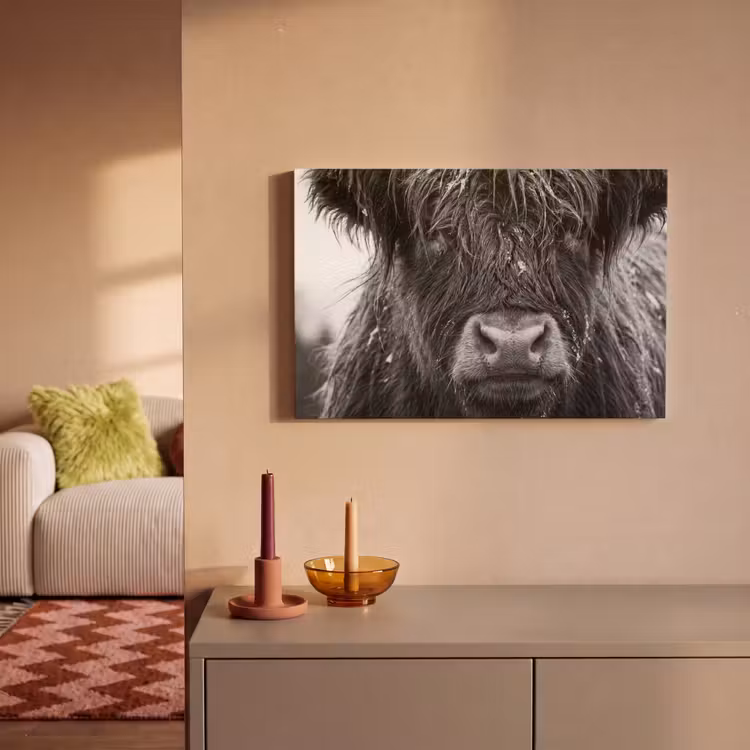 Schotse hooglander - Zwart - Wit - Sneeuwvlokken canvas 2cm klein -sfeer1