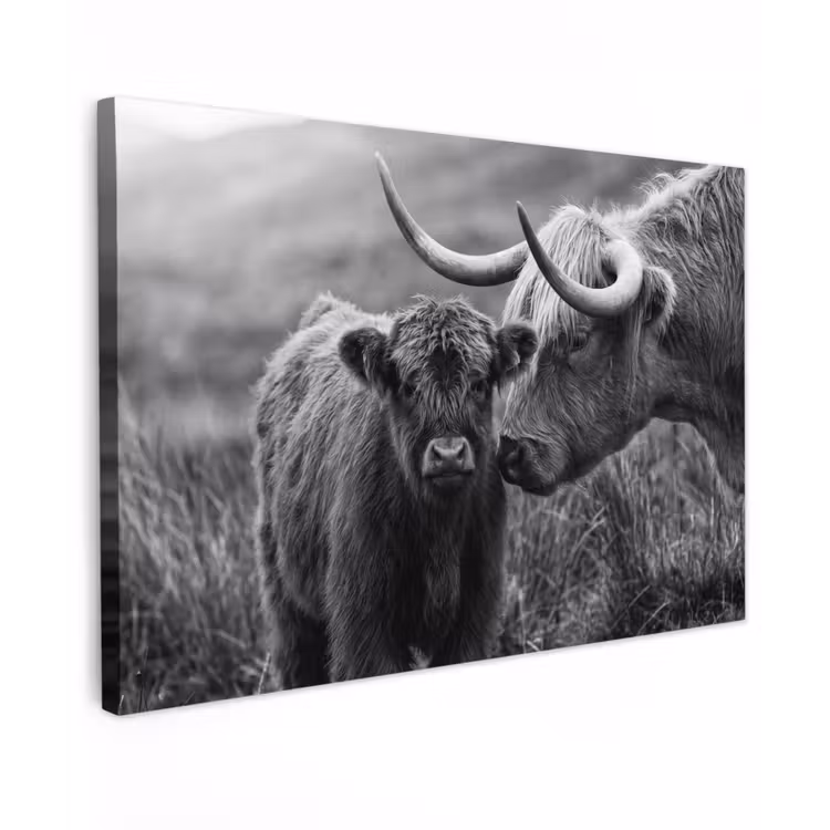 Schotse hooglander - Kalf - Zwart - Wit canvas 2cm klein -z3d