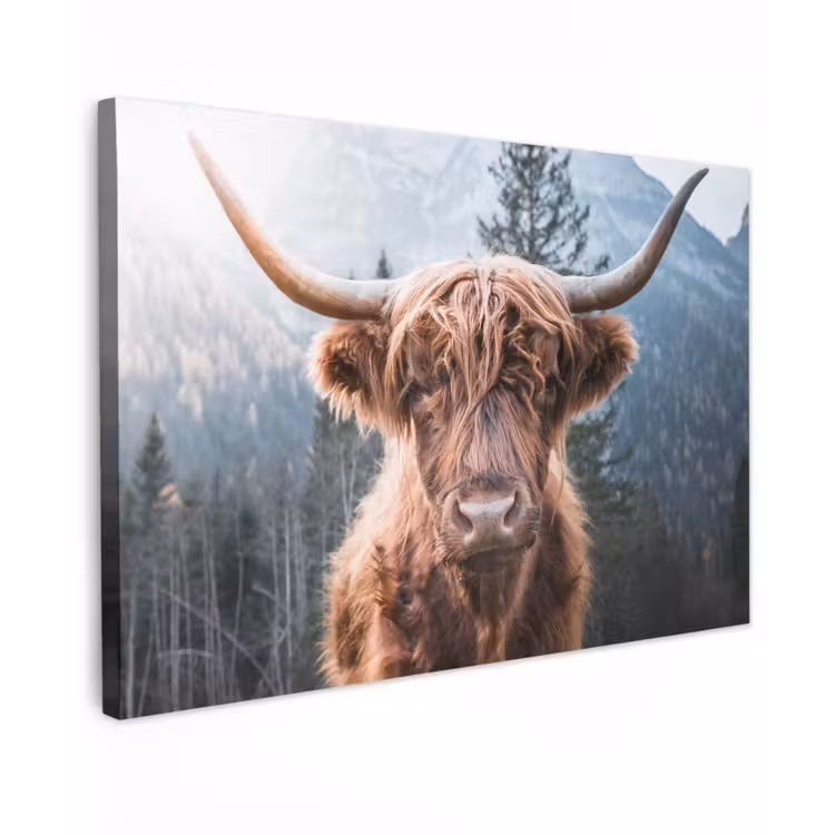 Schotse hooglander - Koe - Dieren - Berg - Natuur canvas 2cm klein -z3d