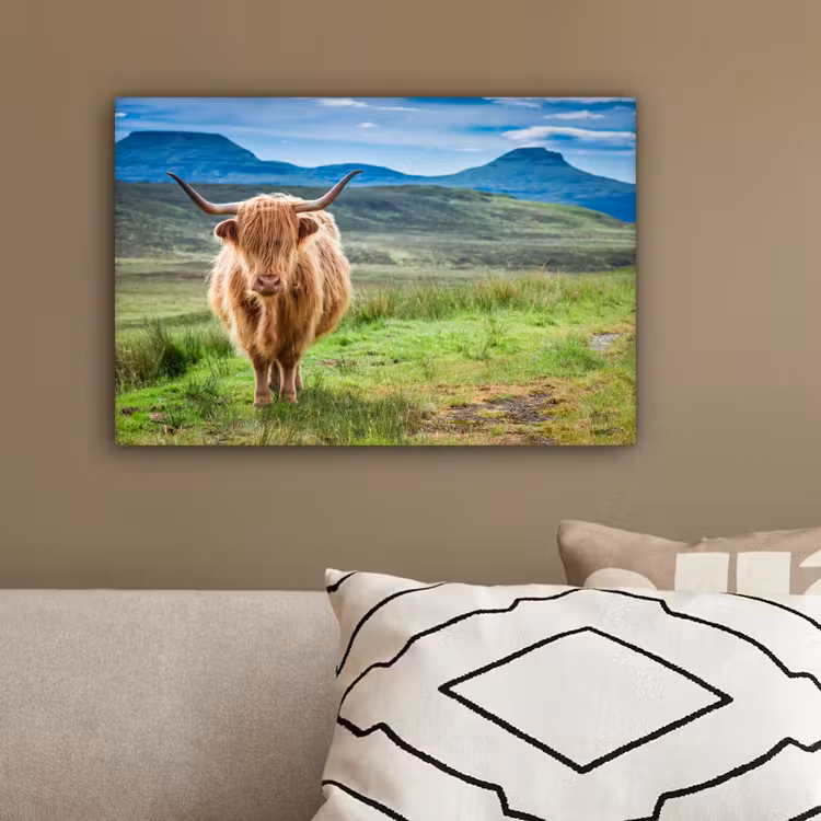 Schotse hooglander - Koe - Natuur - Berg - Gras canvas 2cm klein -sfeer3