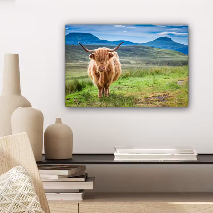 Schotse hooglander - Koe - Natuur - Berg - Gras canvas 2cm klein -sfeer6
