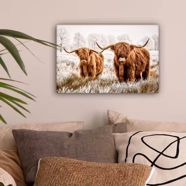 Schotse hooglander - Koe - Natuur - Winter canvas 2cm klein -sfeer1