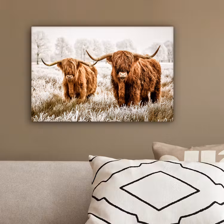 Schotse hooglander - Koe - Natuur - Winter canvas 2cm klein -sfeer3