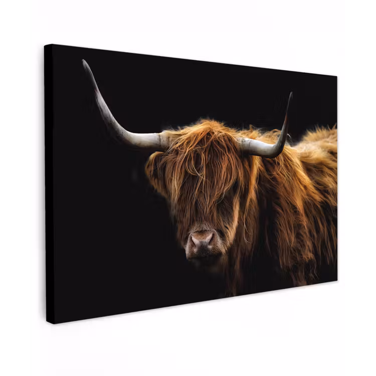 Schotse Hooglander - Horens - Zwart - Dieren - Natuur - Wild - Koe canvas 2cm klein -z3d