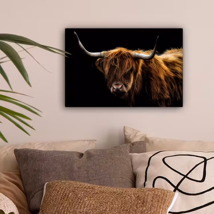 Schotse Hooglander - Horens - Zwart - Dieren - Natuur - Wild - Koe canvas 2cm klein -sfeer1
