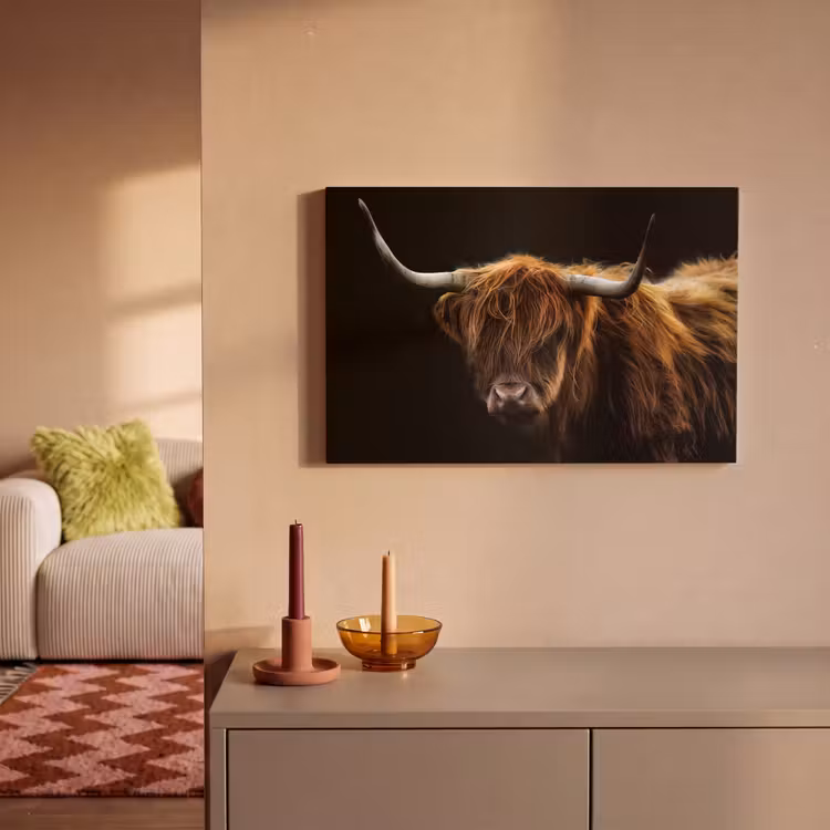 Schotse Hooglander - Horens - Zwart - Dieren - Natuur - Wild - Koe canvas 2cm klein -sfeer1