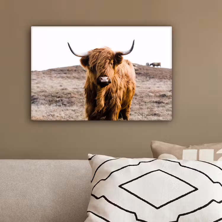 Schotse hooglander - Landschap - Koe - Bruin - Dieren - Natuur canvas 2cm klein -sfeer3
