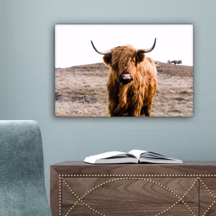 Schotse hooglander - Landschap - Koe - Bruin - Dieren - Natuur canvas 2cm klein -sfeer4