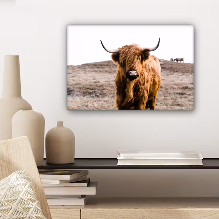 Schotse hooglander - Landschap - Koe - Bruin - Dieren - Natuur canvas 2cm klein -sfeer6
