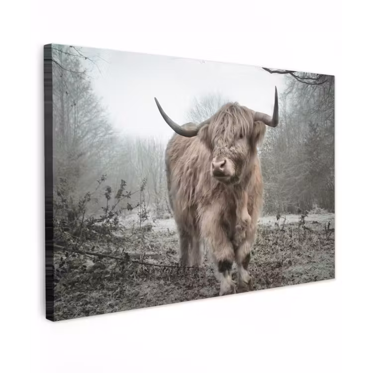 Schotse hooglander - Natuur - Herfst - Dieren - Wild - Bos canvas 2cm klein -z3d