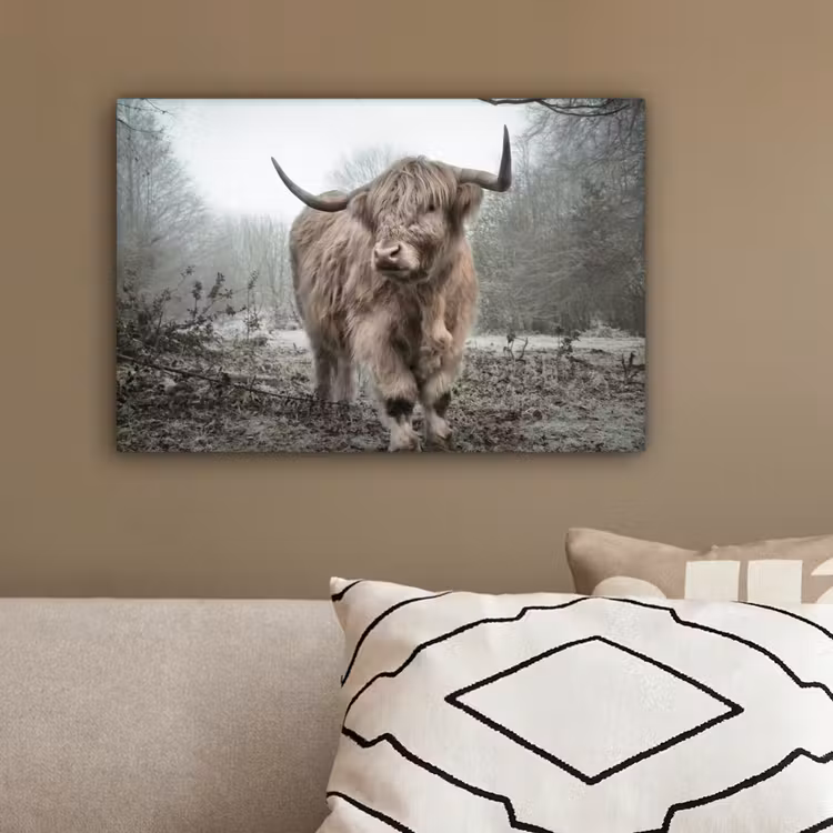 Schotse hooglander - Natuur - Herfst - Dieren - Wild - Bos canvas 2cm klein -sfeer3