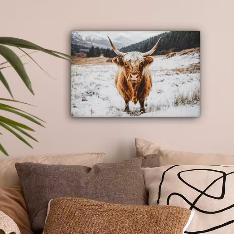 Schotse Hooglander - Sneeuw - Winter - Dieren canvas 2cm klein -sfeer1