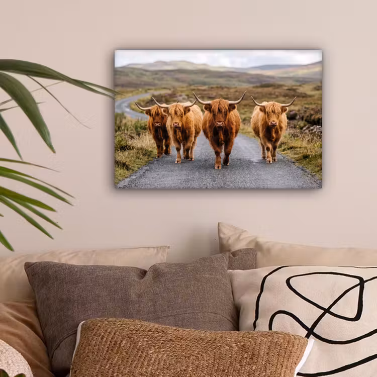 Schotse Hooglanders - Weg - Landschap - Kudde canvas 2cm klein -sfeer1