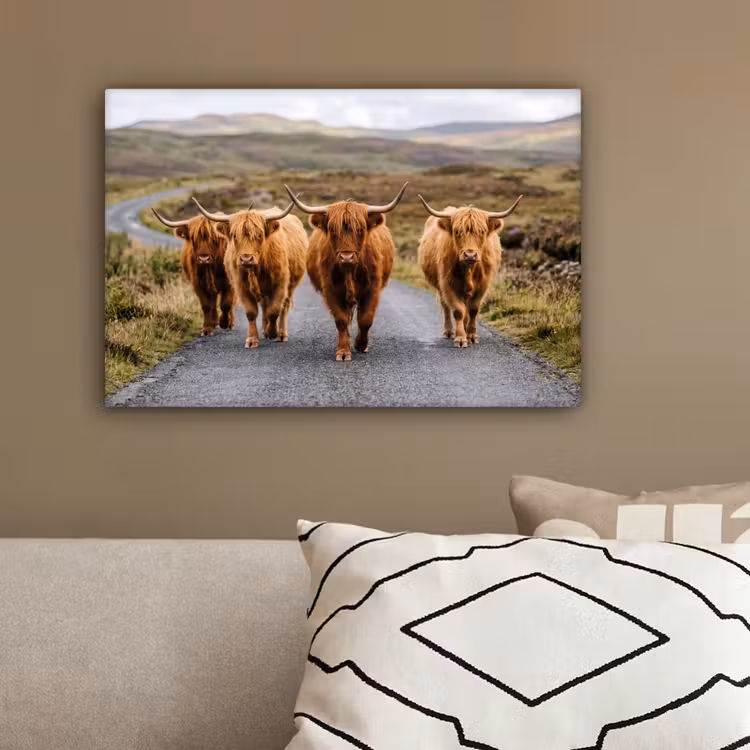 Schotse Hooglanders - Weg - Landschap - Kudde canvas 2cm klein -sfeer3