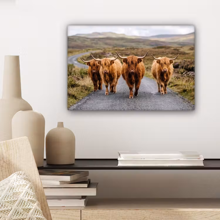 Schotse Hooglanders - Weg - Landschap - Kudde canvas 2cm klein -sfeer6