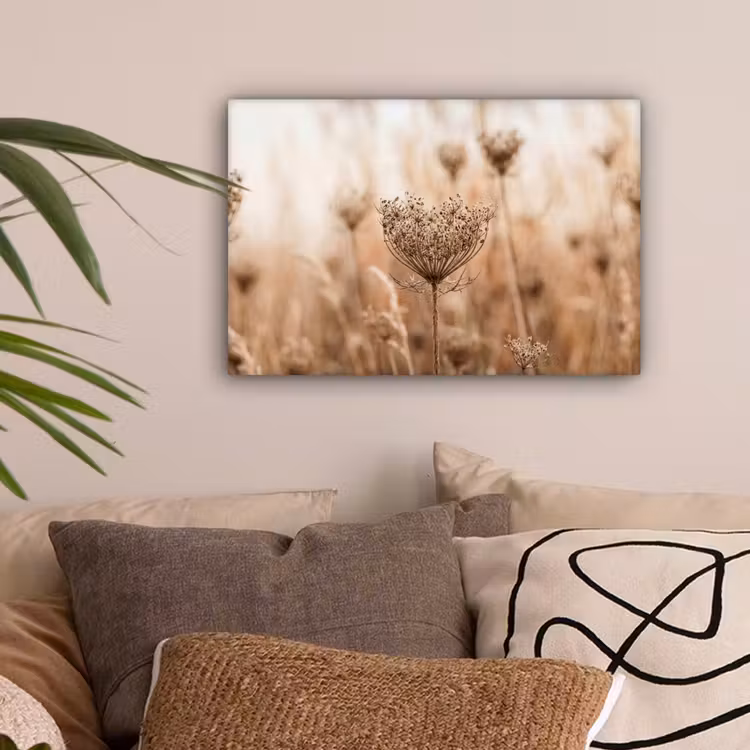Schermbloem - Droogbloem - Winter - Beige - Minimalistisch canvas 2cm klein -sfeer1